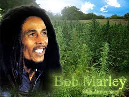 marley image 0