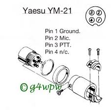 YM