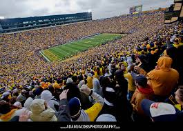 Ohio State Buckeyes on