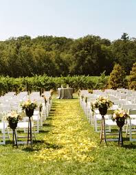 yellow rose petals