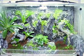 vivarium