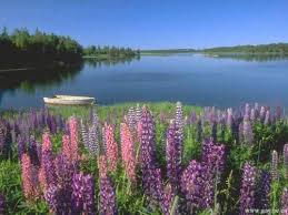 Prince Edward Island is