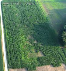 Corn Mazes in Michigan,