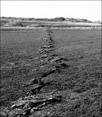 Pictures of Earthquakes