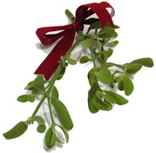 mistletoe_sample.PNG