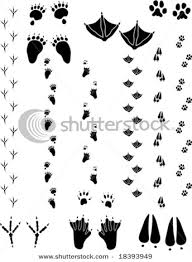 cat paw prints clip art