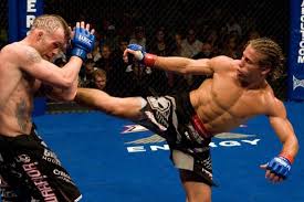 champion Urijah Faber will