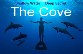The cove