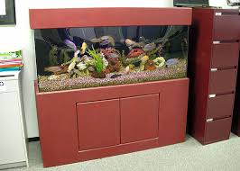 tropical fish aquarium pictures