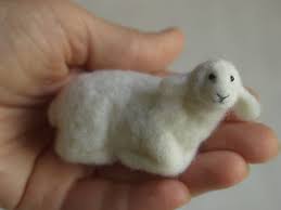 miniature sheep