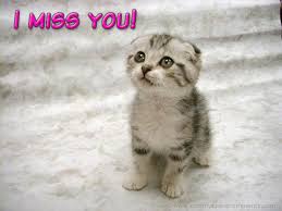 i miss you like