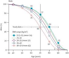 effects of obesity