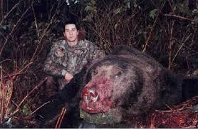 large bear pictures