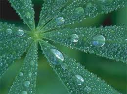 external image condensation.jpg