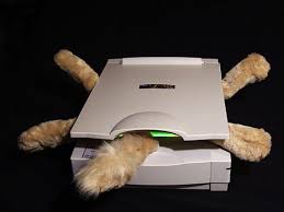 cat scan