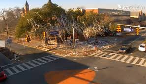 trees poisoning. AUBURN