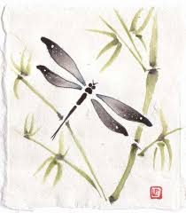 dragonfly illustrations