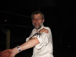 pink toed tarantula, 2006 July
