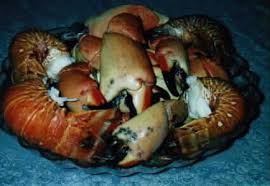 stone crab