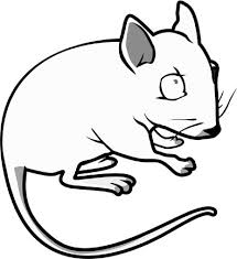 mammal coloring pictures