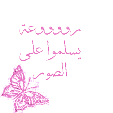 ������ ���� ������ �� ���� ������