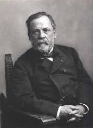 http://t1.gstatic.com/images?q=tbn:r4lBSGBFVk7ZyM:http://www.immunisation.nhs.uk/i/pasteur.jpg&t=1
