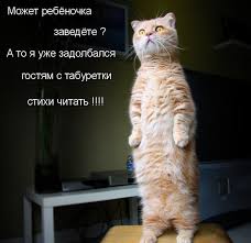 смешные картинки