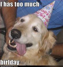 funny happy birthday