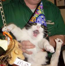 HappyBirthdayKitty.jpg&t=1