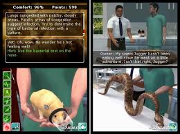 pet animals pictures