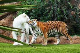 Fun & Info @ Keralites.net