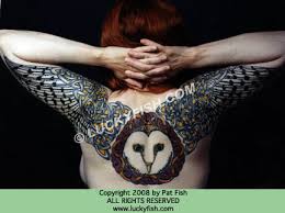 large owl pictures