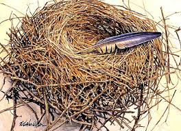 The term �EMPTY NEST� is a