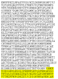 of Kryptos begins with the