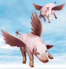 pigs_flying.jpg&t=1