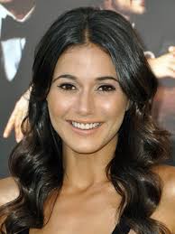 Emmanuel Chriqui hair