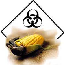 ogm biohazard