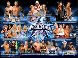 wwe wrestlemania 25