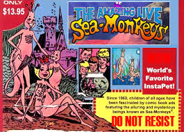 sea monkeys