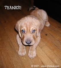 thanks