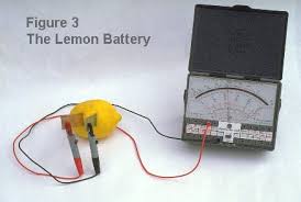 fruit battery