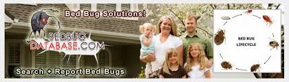 Bed Bug Infestation