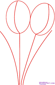 how to draw tulips
