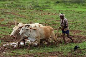 தொழிலாளருக்கு வணக்கம் (கவிதை) Agriculture_