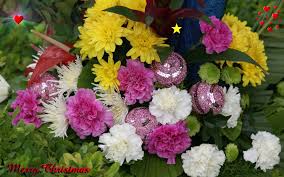 christmas flowers