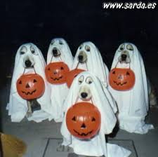 Como que animal te imaginas a los canuteros? - Página 17 Perros_halloween