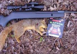 gamo hunting