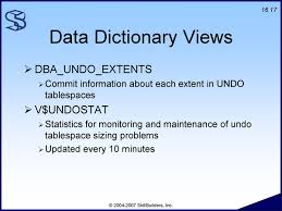 data dictionary example