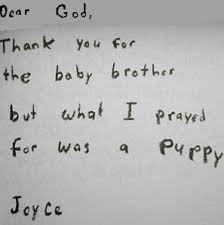 funny christmas jokes