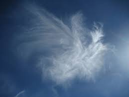 beautiful dragon pictures